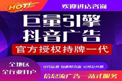 SEM外包服务应用案例分析
